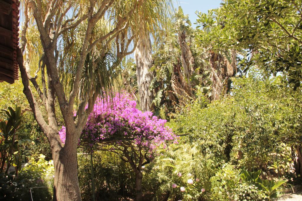 サン・ジョルジョ Le Palme Gardenヴィラ エクステリア 写真